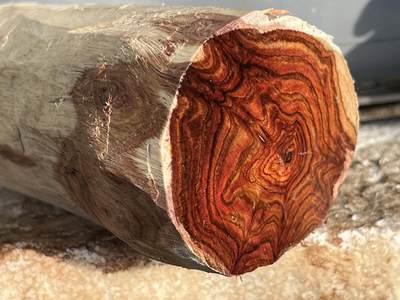 零元拍：  NO619 海南黄花梨原料。123/75/65/50/45MM - 零元拍：  NO619 海南黄花梨原料。123/75/65/50/45MM