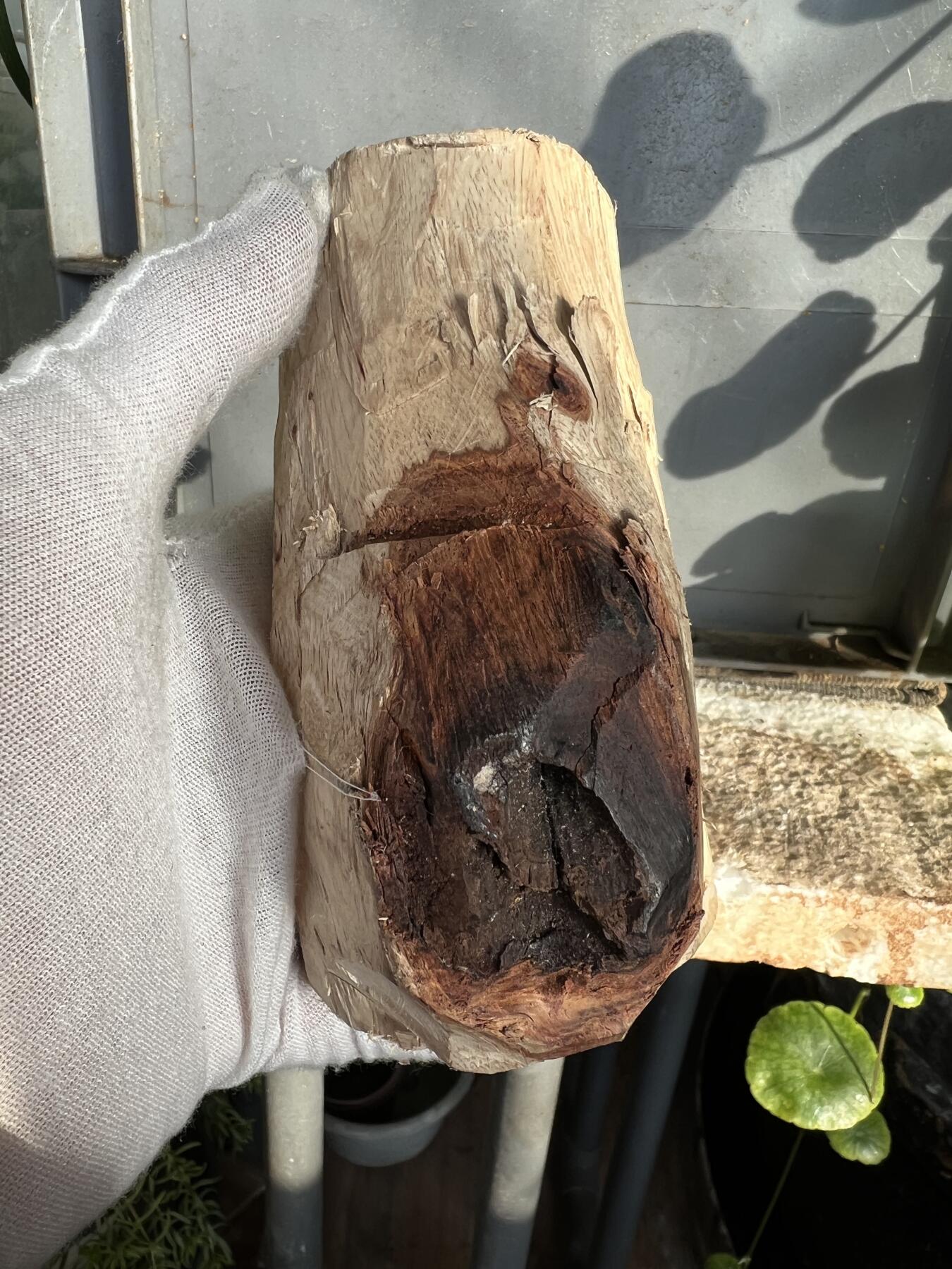 零元拍：  NO88-3 海南黄花梨原料。115/40/65/55MM