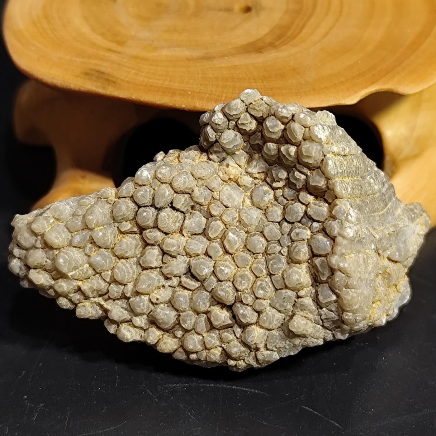 希腊罗马丝路打制币化石【中外钱币放漏】专场！陆小鱼的钱币仓，限时拍卖第080场 纹路独特 全玉化珊瑚化石 非常干净 难得 4.5亿年前奥陶纪时期海洋古生物化石标本25g