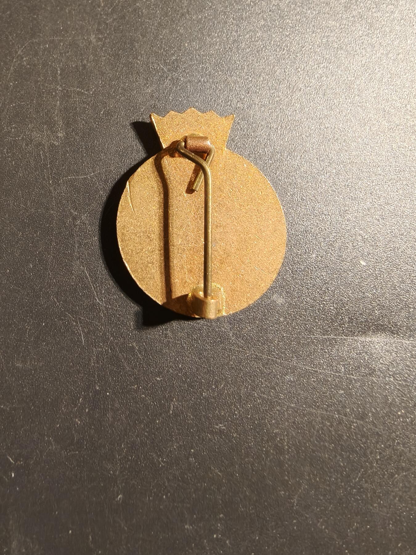 老王徽章第172期 美国海岸武装力量老兵协会证章     铜质珐琅    二战时期横针版