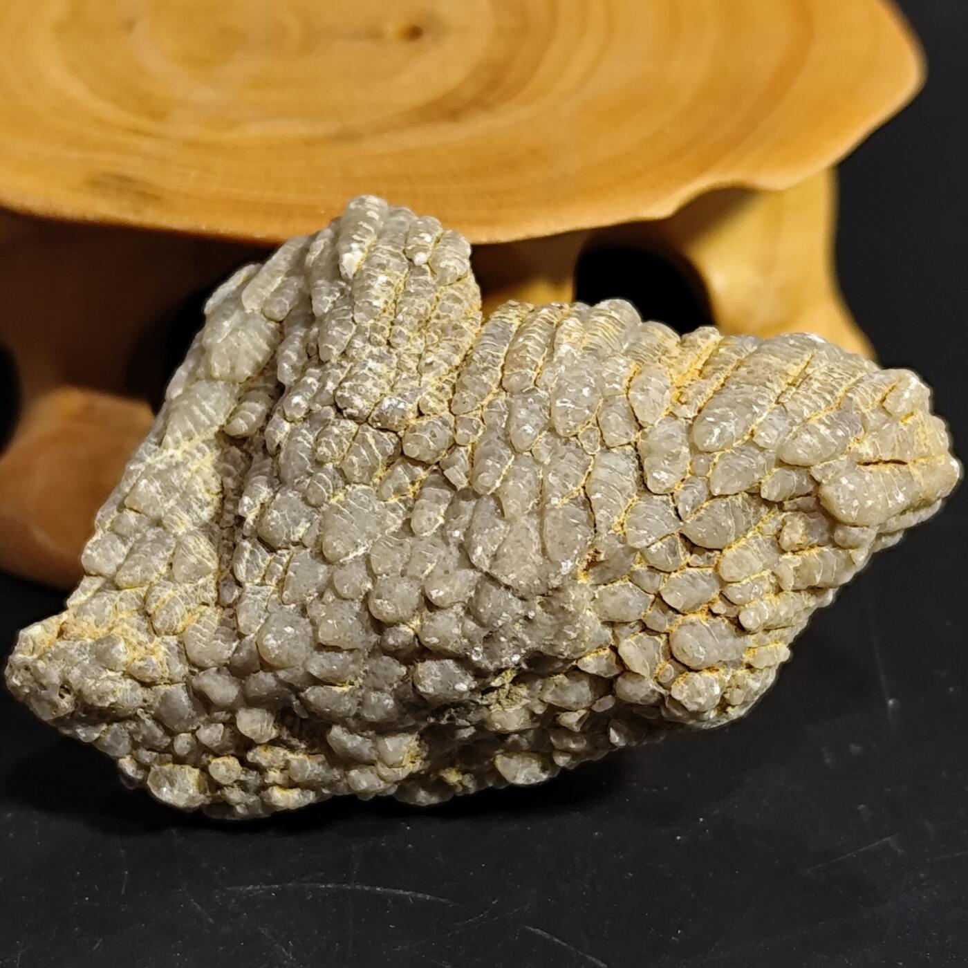 希腊罗马丝路打制币化石【中外钱币放漏】专场！陆小鱼的钱币仓，限时拍卖第080场 纹路独特 全玉化珊瑚化石 非常干净 难得 4.5亿年前奥陶纪时期海洋古生物化石标本25g