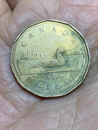 2026年第一场(总第一百七十场）外国好品散币场(免佣金) - 加拿大🇨🇦1989年1元(伊丽莎白二世中年花冠，低浮雕版，关门年仅发行3年)