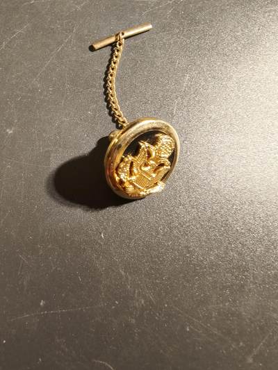 老王徽章第172期 - 美国陆军链章