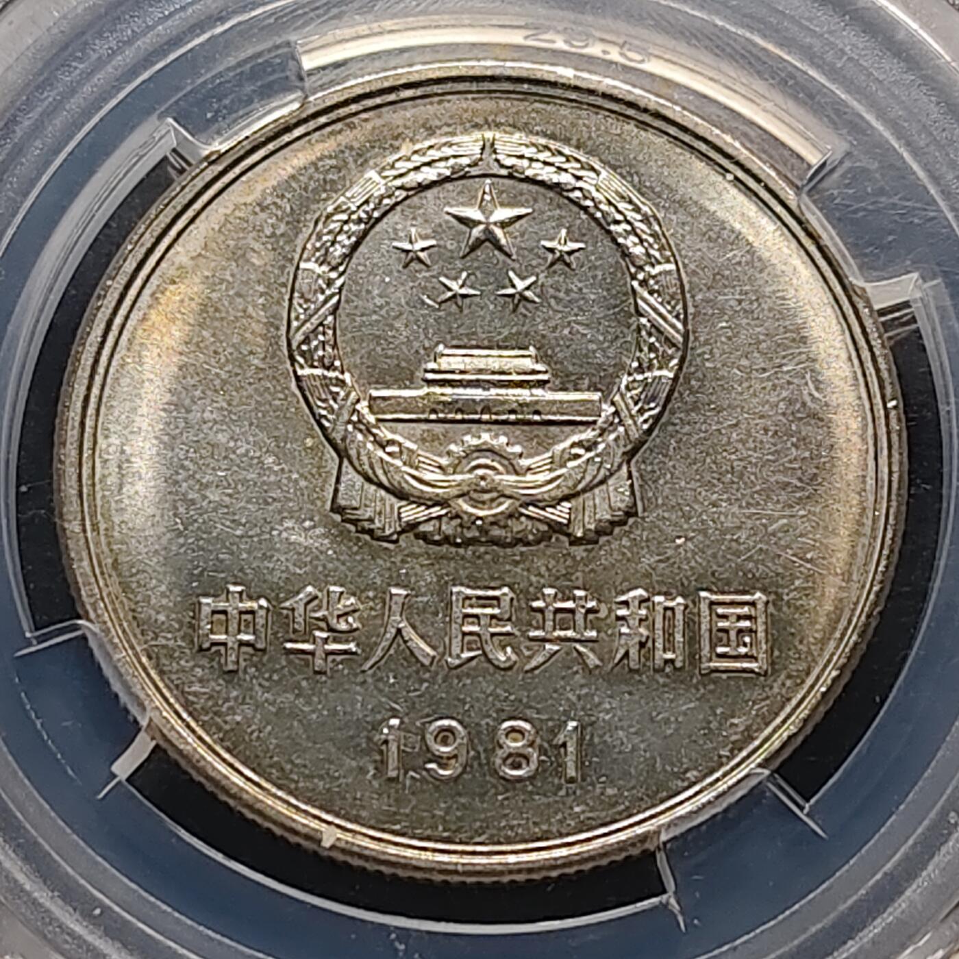 【全场包邮】纯粹捡漏拍490场（免费代拍第27场）