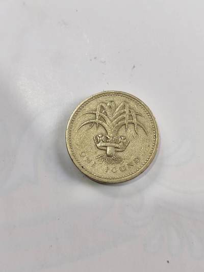 专场 - 英国1英镑圆形硬币（威尔士韭葱版）