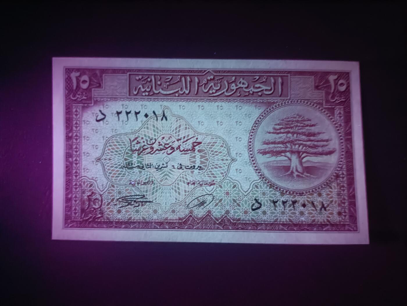 2026首期，总第211期 黎巴嫩1950年25皮阿斯特UNC-豹子头222，作为国家象征的雪松树和狮子头，稀有早期品种