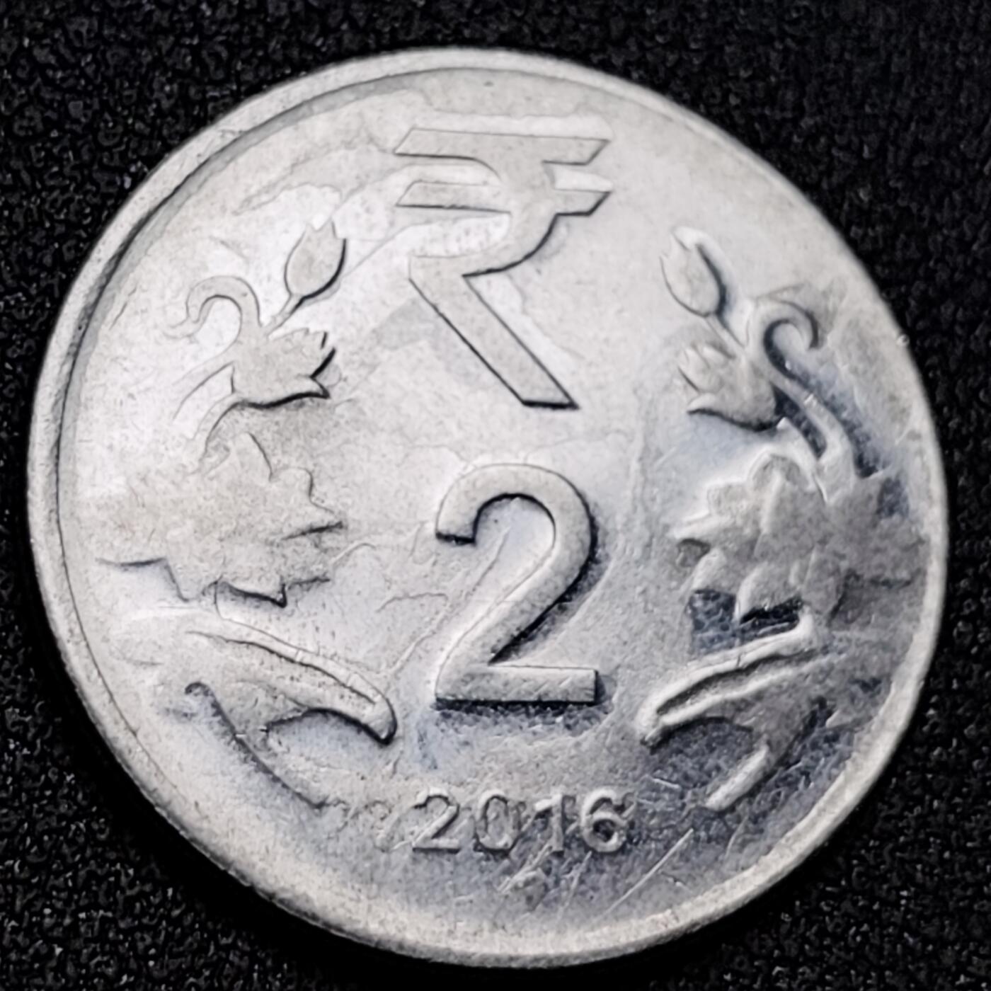 泉币菌-第156场-精品福利场 。