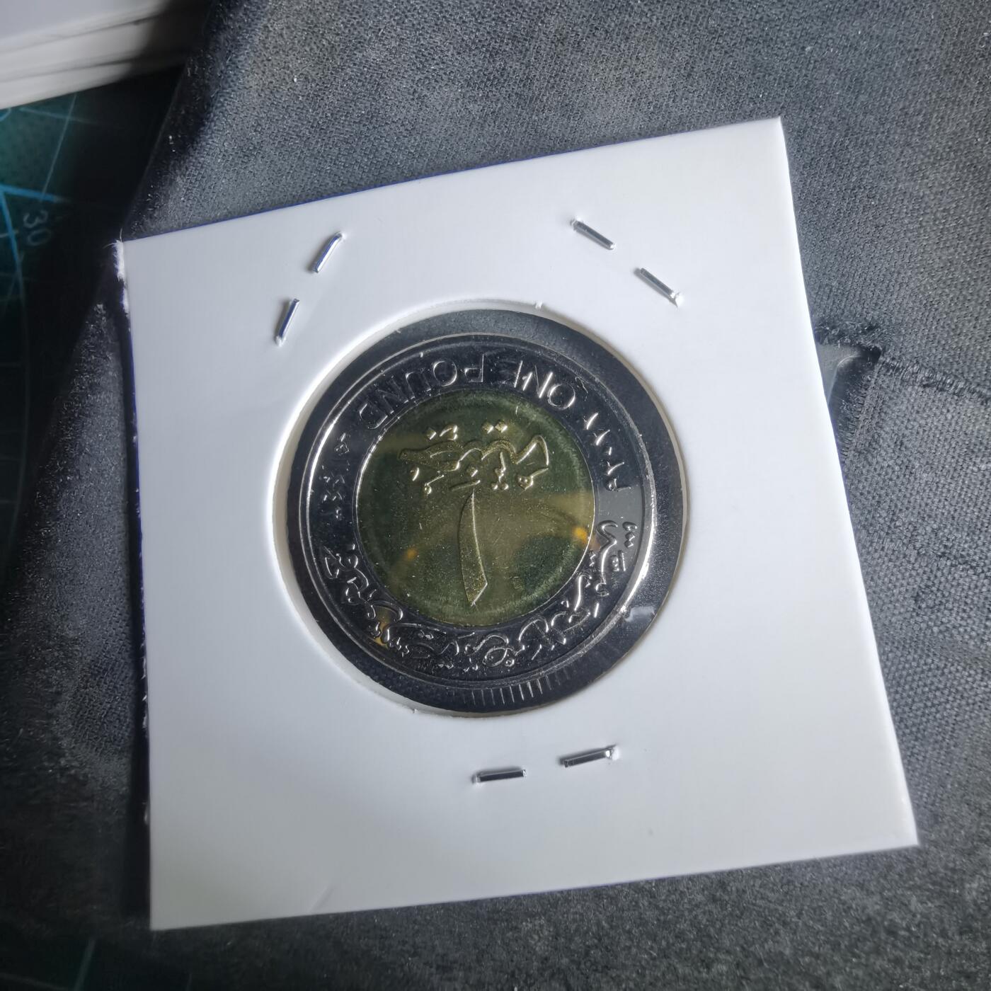 沼泽如烟--第949场 埃及