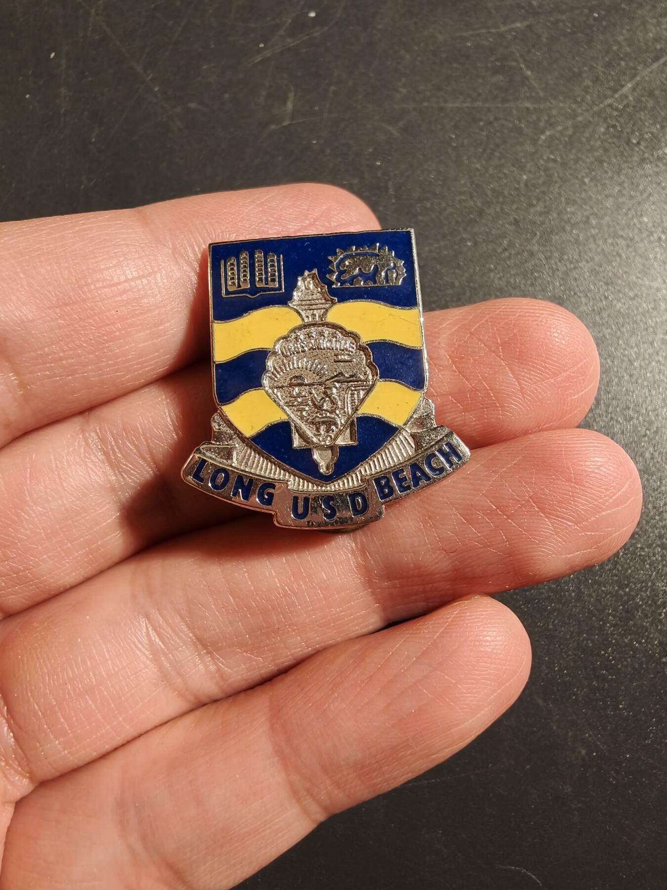 老王徽章第172期 美国陆军初级预备役军官训练团 D.S. Jordan 高中证章