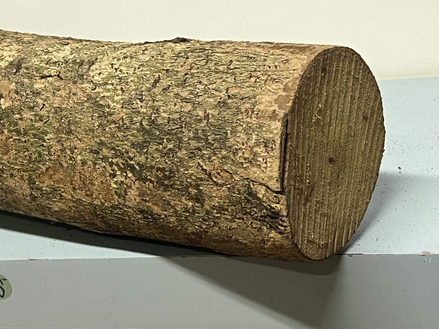 零元拍： 1227-1 金丝楠 原木 风水柱 横财（材）带皮， 尺寸：81/11.5/CM。抛光后金灿灿满香。