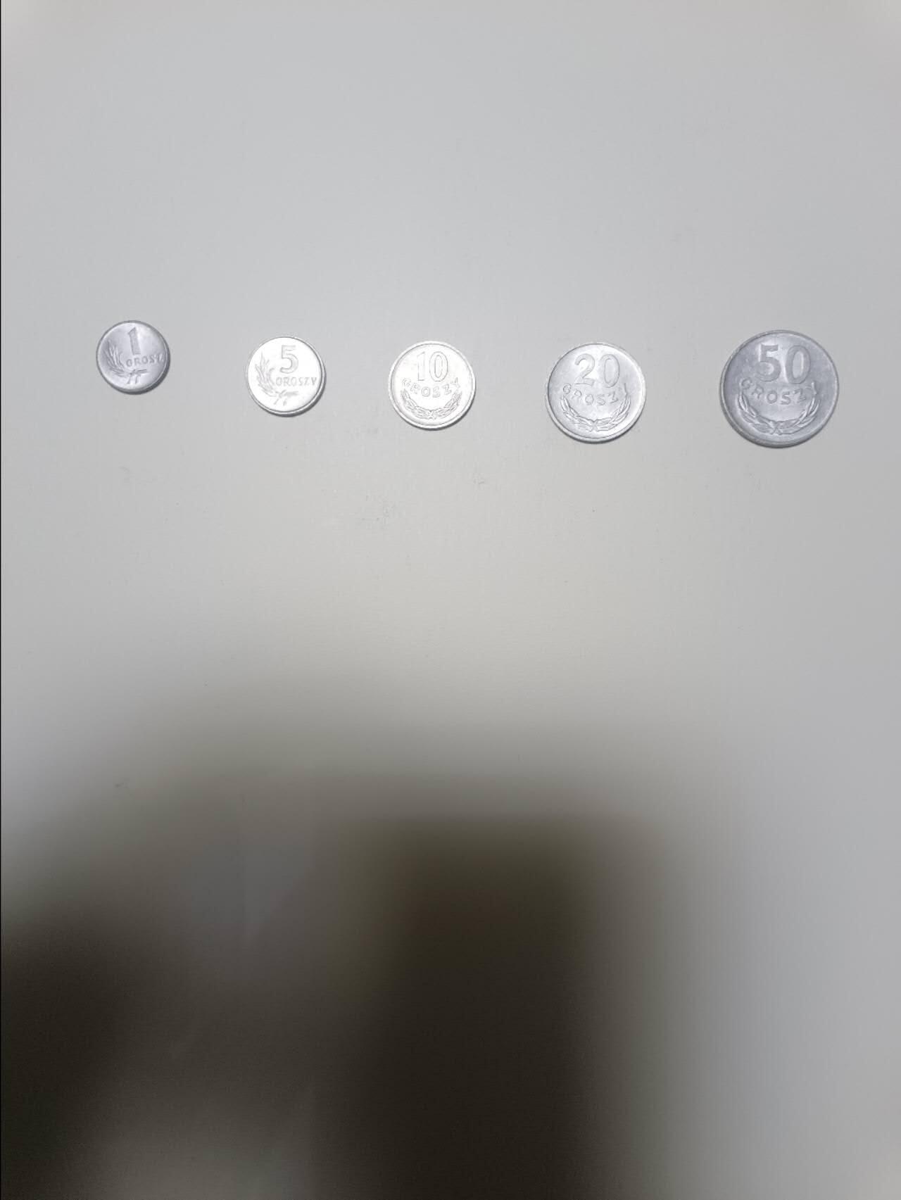 【20260101】非全新纸币和硬币第320场 波兰5枚硬币小全套