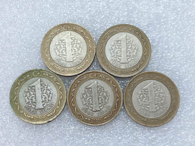 第一海外回流一元起拍收藏 散集专场  第284期 - 土耳其1里拉双色币 5枚