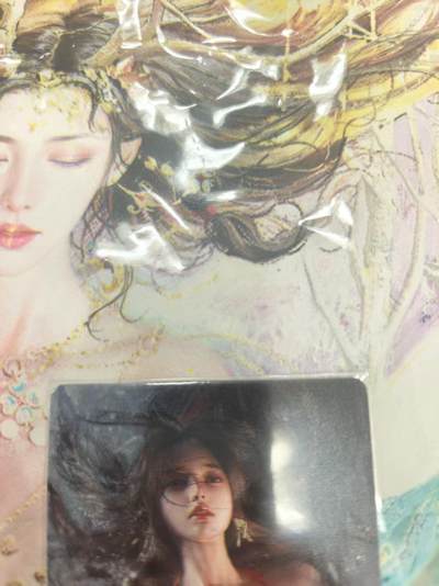 寸草不生拍卖 第十七期  - 刷子人间传 大头卡 蔡文姬