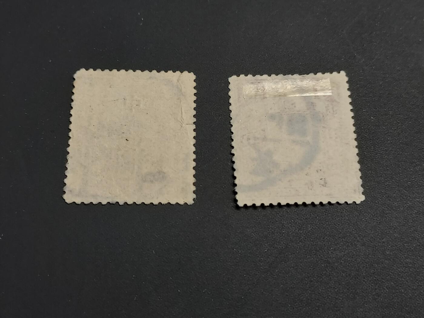 博彦收藏   1月5日 8点 蟠龙专场 全场包邮 大清 蟠龙2角 原票/加盖 旧票各一枚 上品