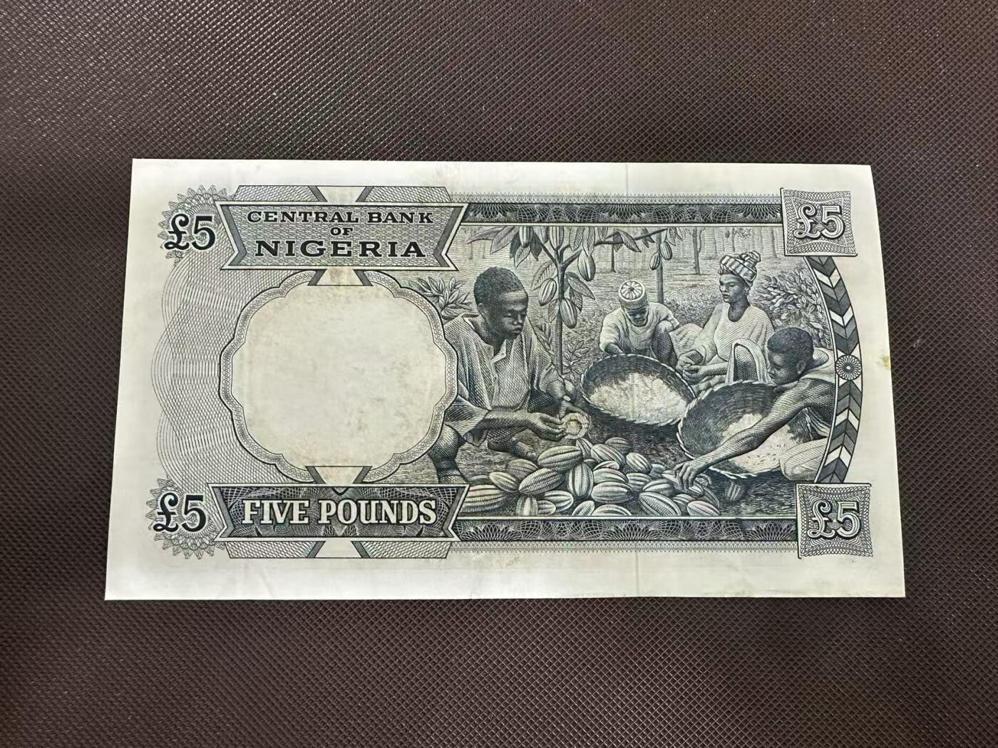 喜羊羊钱币收藏2025第11期(流通品相场) 尼日利亚	P-9 1965年5镑		品相如图				A/9 104421			