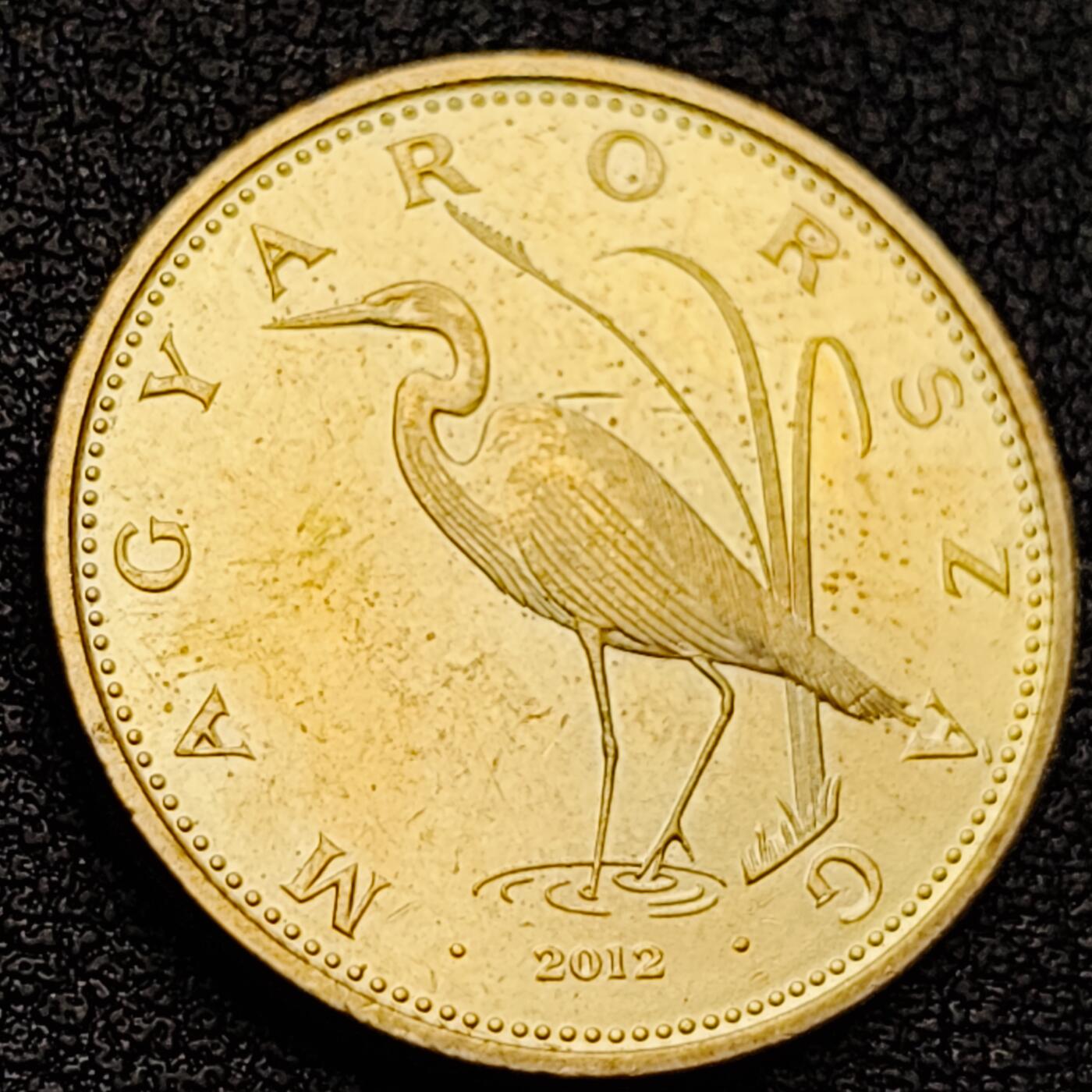 泉币菌-第157场-精品福利场 。