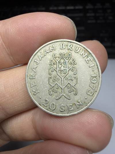 2025年集古藏今外币拍卖第十一期-第6场—（总第296拍），可以寄存60天，满160元包邮。 - 1973年文莱20分