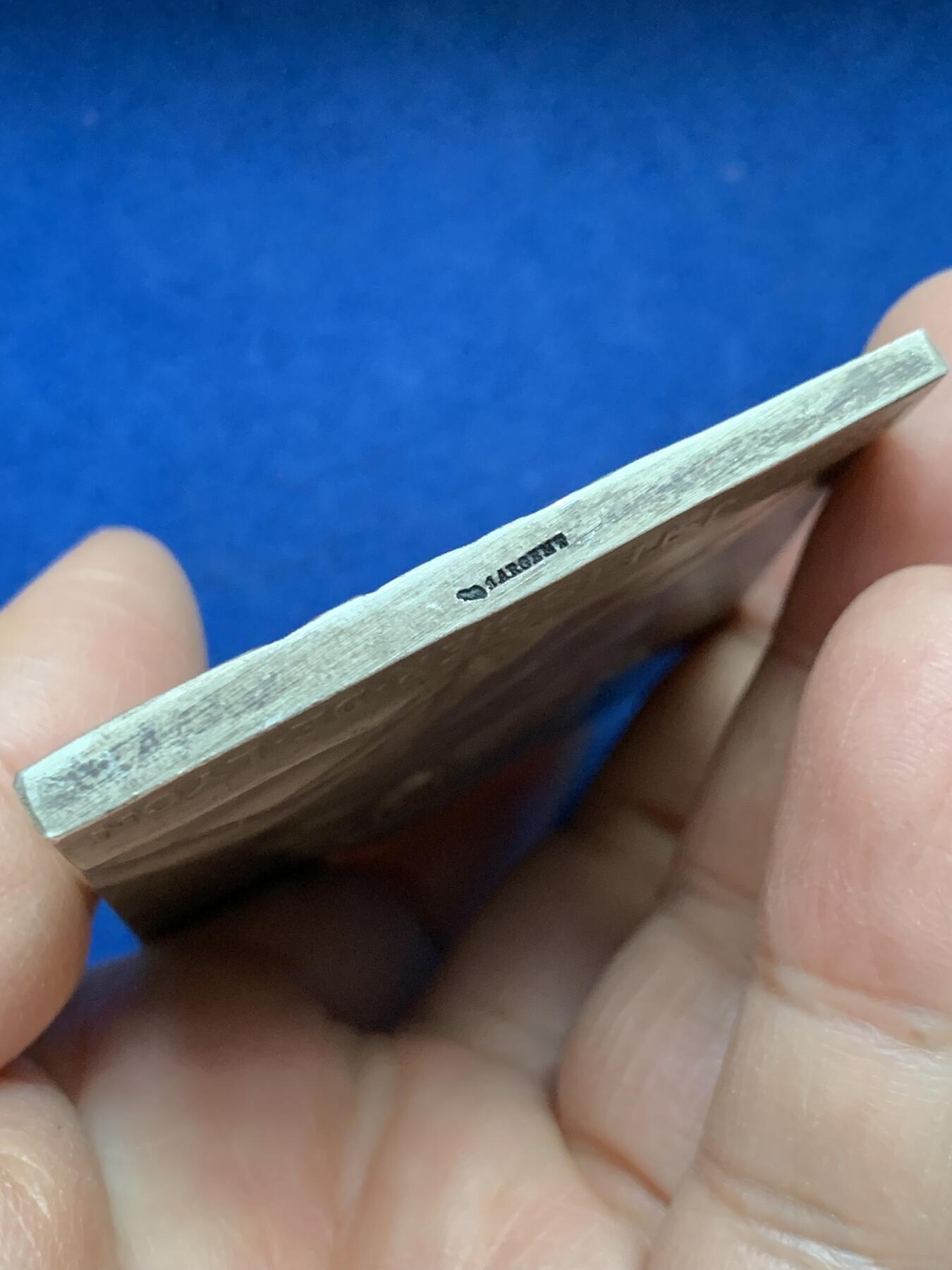 《竞宝斋》第453场 周日，周一 2场连拍 （全场包邮，欢迎送拍） 名家保罗·里歇作 法国1929年里昂约瑟夫·泰西耶纪念大银章 165克 53.2*72.5mm 丰饶角1银 泰西耶博士是20世纪初法国传染病学与肾脏病学先驱，对流行性疾病及代谢疾病研究贡献卓著。