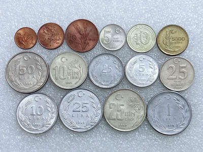 第一海外回流一元起拍收藏 散集专场  第284期 - 土耳其不同版本硬币 15枚 带光好品