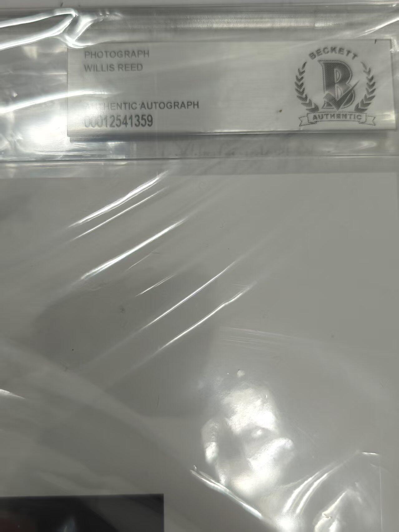 寸草不生拍卖 第十七期  2020年 leaf系列 威利斯里德 签名 bas认证