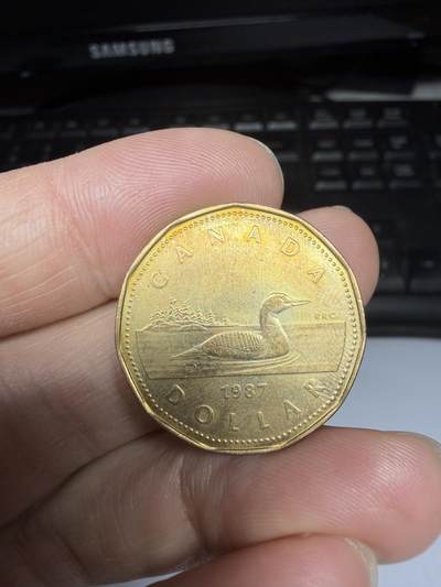 2025年集古藏今外币拍卖第十一期-第6场—（总第296拍），可以寄存60天，满160元包邮。 - 1987年加拿大一元