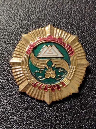 靖甫拍卖新拍第一场 - 柯尔克孜自治州服务奖章