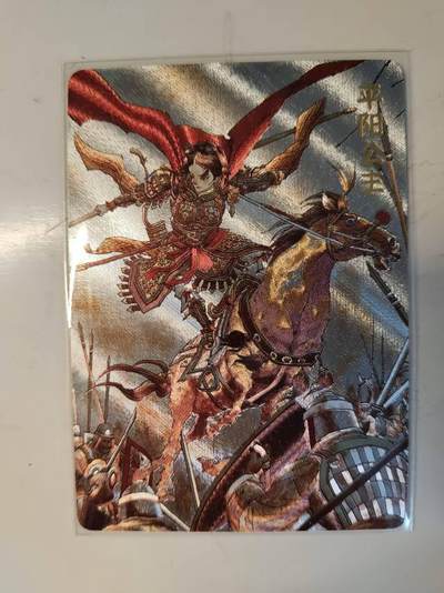 龙虎卡牌-七零场，2026首场，全场包邮！！（无佣金，周六结拍，欢迎送拍） - 粗闪卡 超吉梦 张导巾帼烈女 - 平阳公主