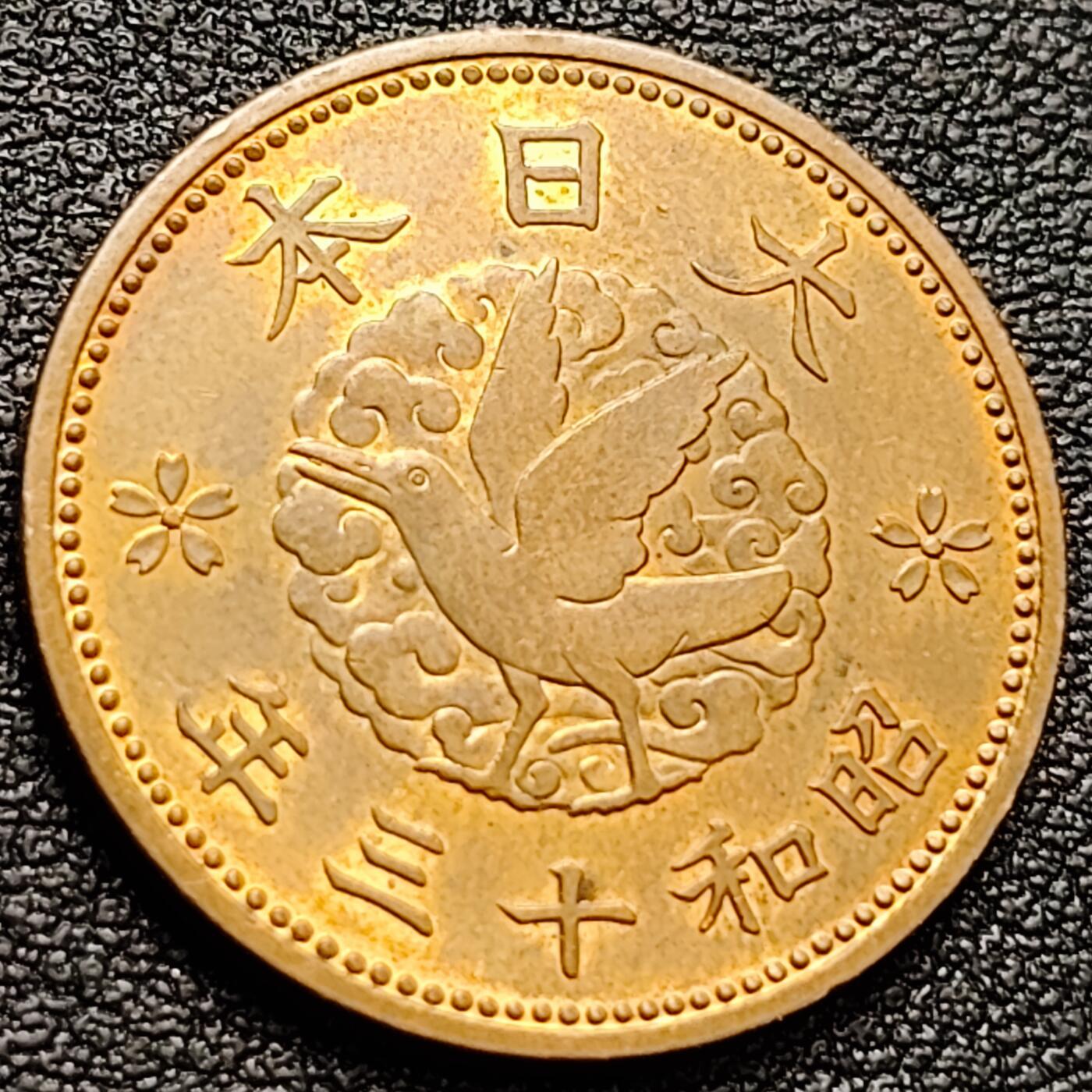 泉币菌-第157场-精品福利场 。