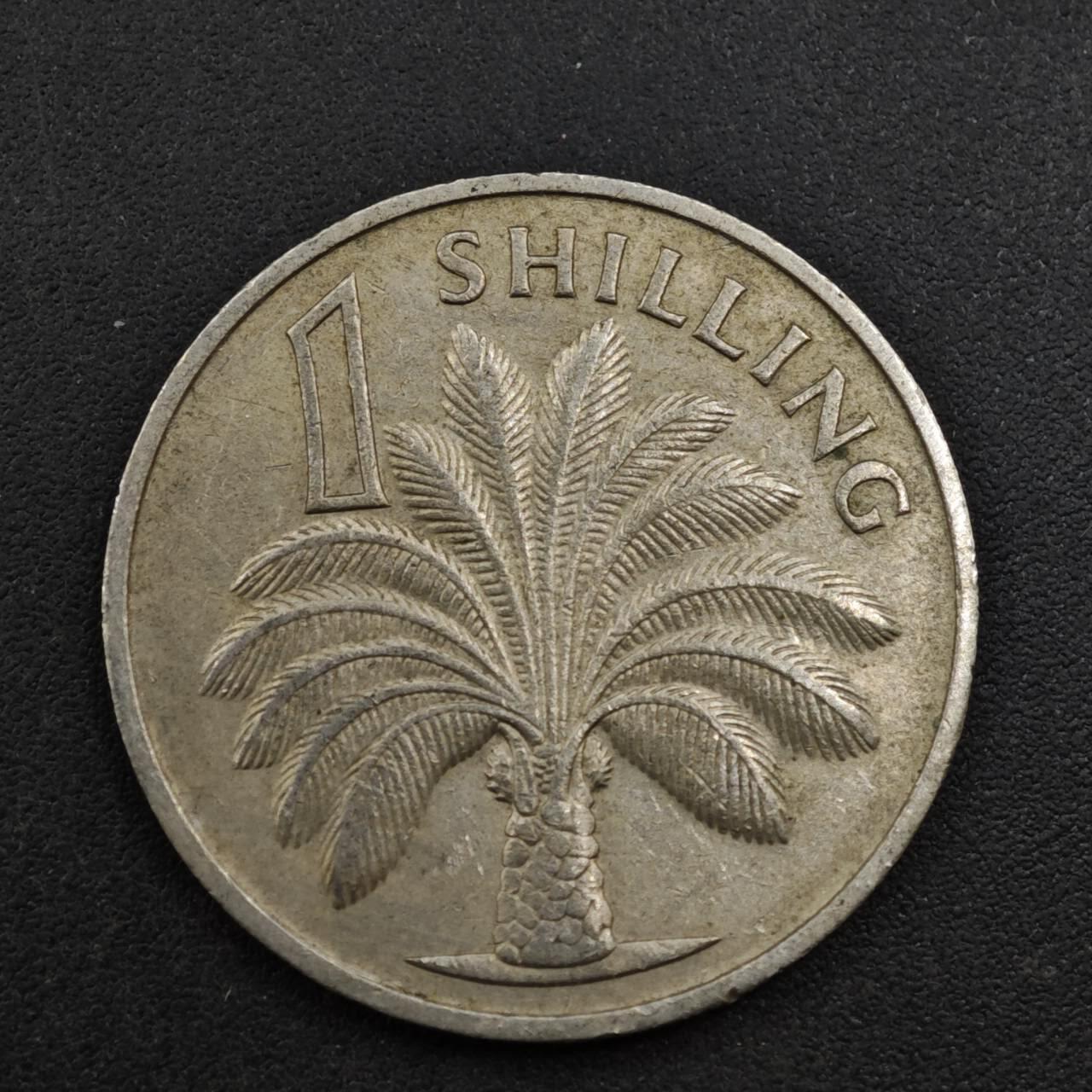 【淘币小摊】实时拍第八百三十七拍   散币银币场   满百包邮可预留二周 每周一统一发货  