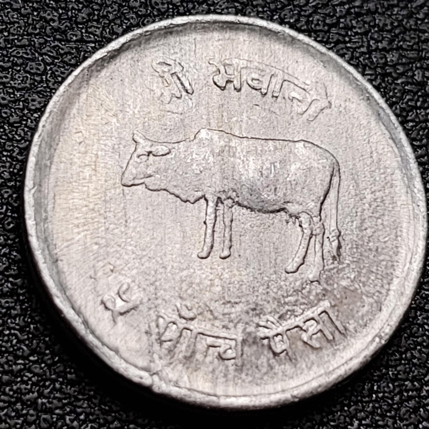 泉币菌-第157场-精品福利场 。