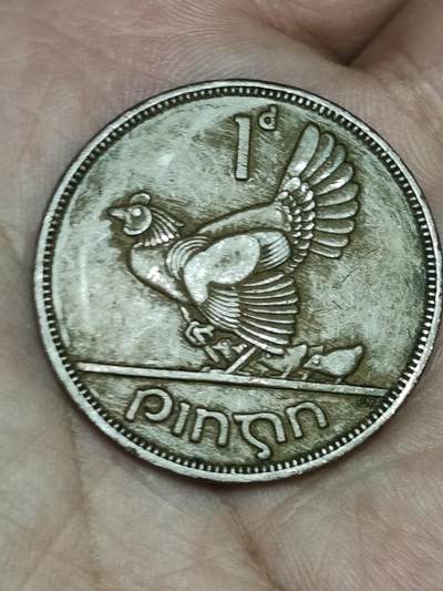 2026年第一场(总第一百七十场）外国好品散币场(免佣金) - 爱尔兰🇮🇪1963年1便士(共和国时期第一套)