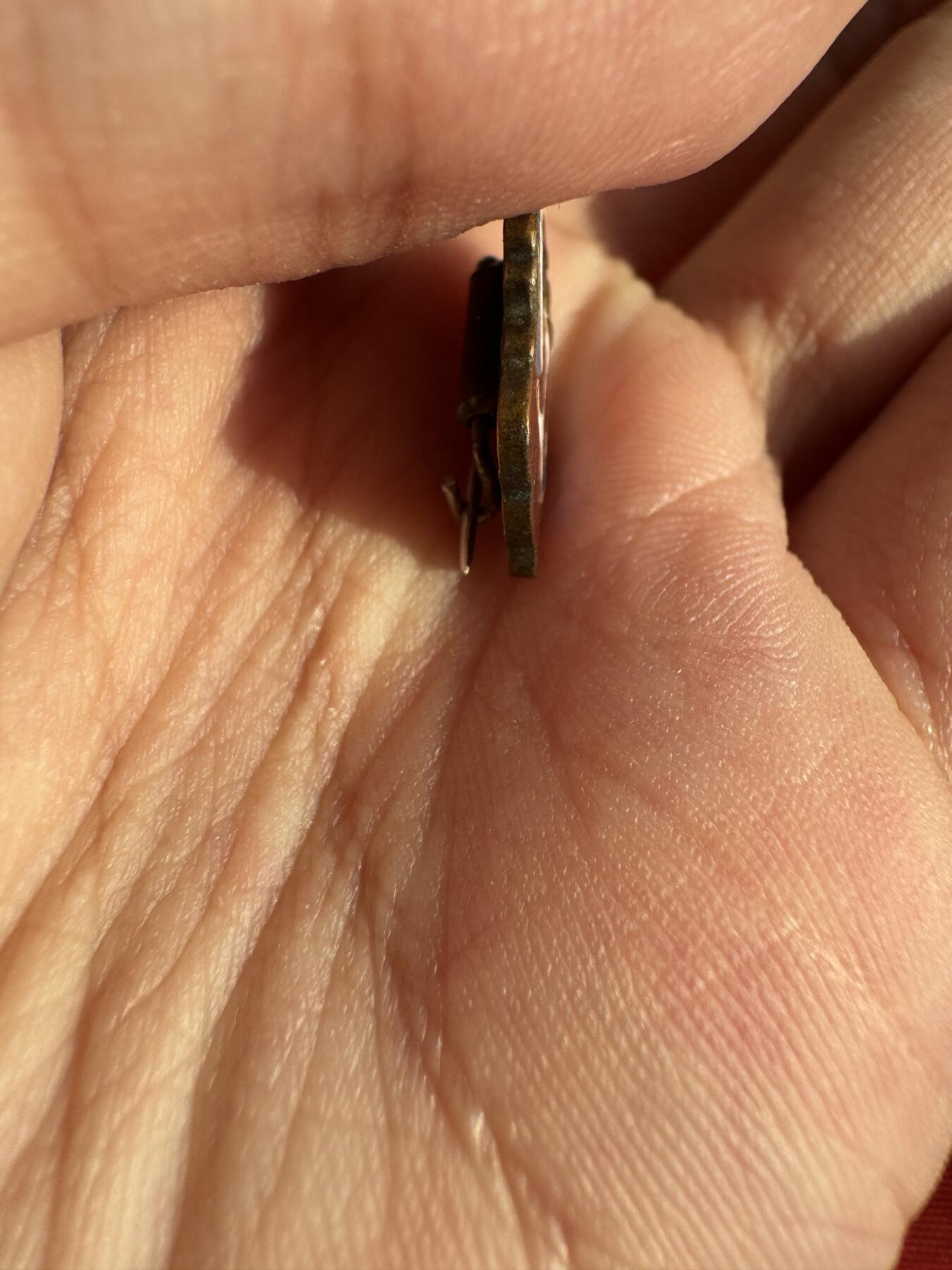 五哥徽章群   30号周二晚上八点4群联拍 铜章