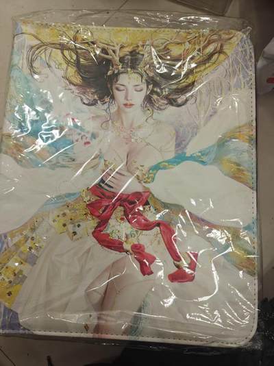 寸草不生拍卖 第十七期  - 刷子妖姬传 九宫格卡册