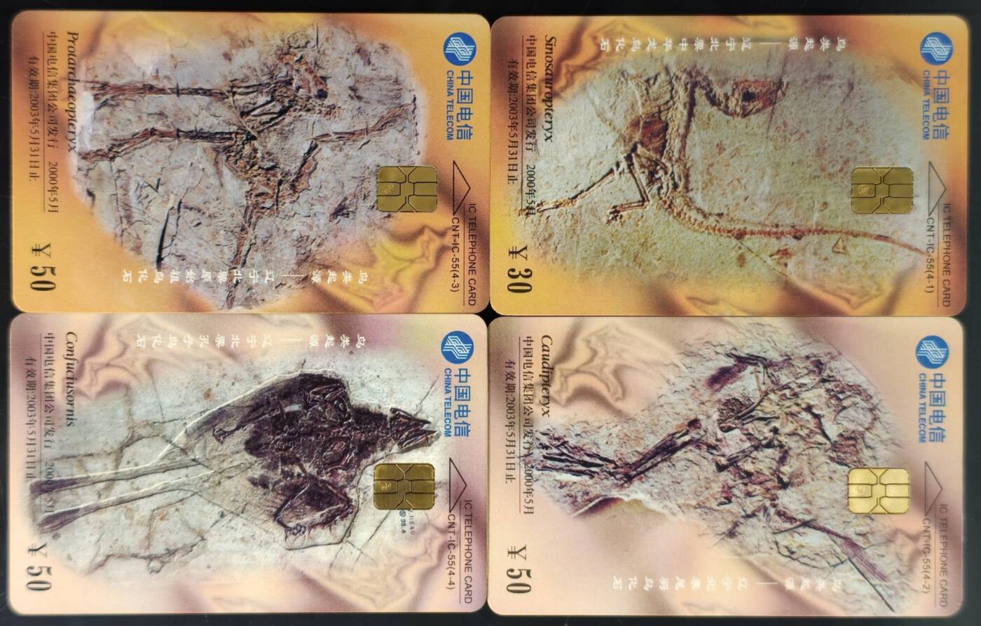 公藏第60期裸卡拍卖