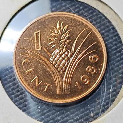 KK钱币收藏小铺 《套币 好品/批量散币专场》  2月预留时间 周末发货 -  1986斯威士兰1分 好品