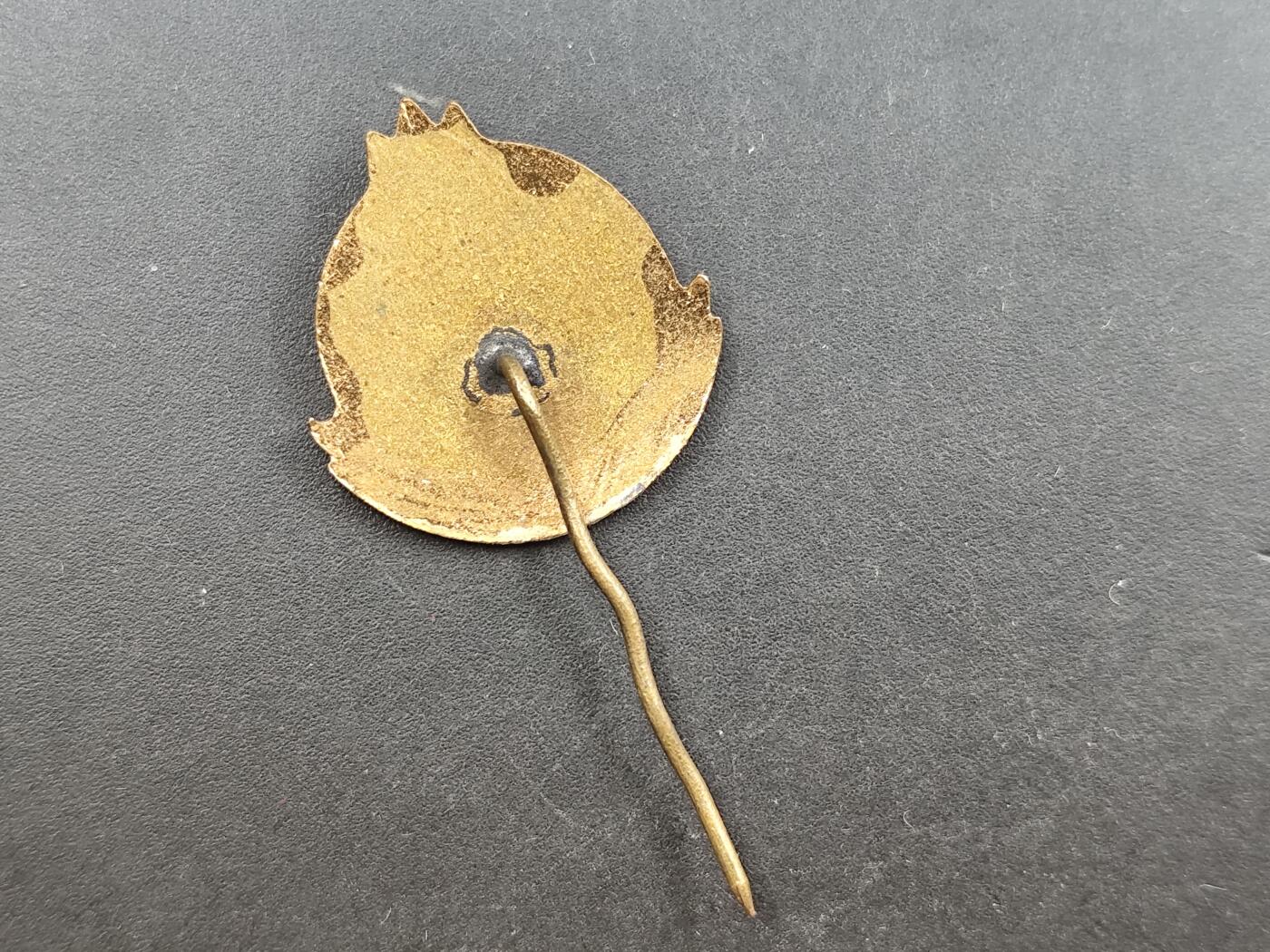 12月28日徽章钱币专场 保加利亚利姆内斯基区优秀辅导员纪念章