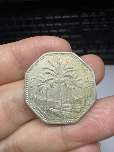 2025年集古藏今外币拍卖第十一期-第6场—（总第296拍），可以寄存60天，满160元包邮。 - 1981年伊拉克250费尔