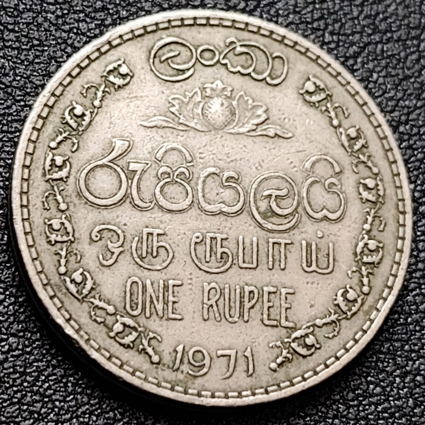 泉币菌-第157场-跨年欢乐场（特修改截拍时间为23:30分）