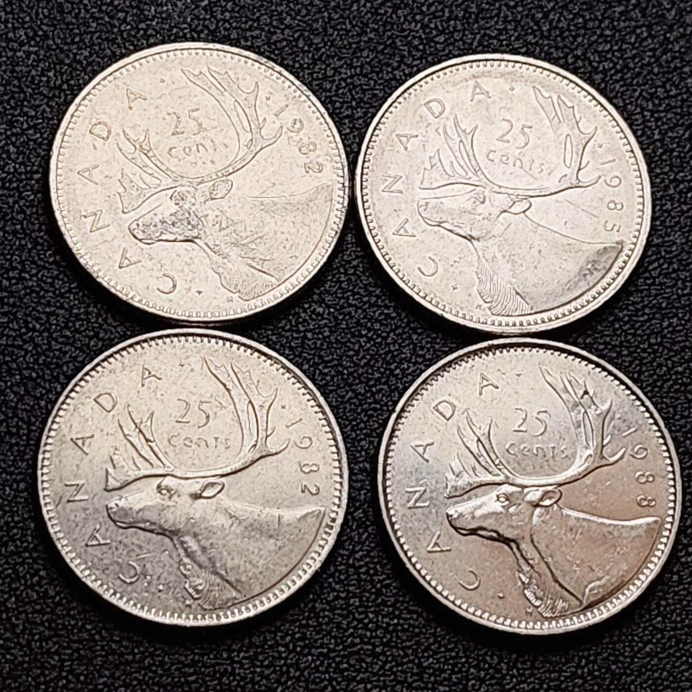 泉币菌-第157场-跨年欢乐场（特修改截拍时间为23:30分）