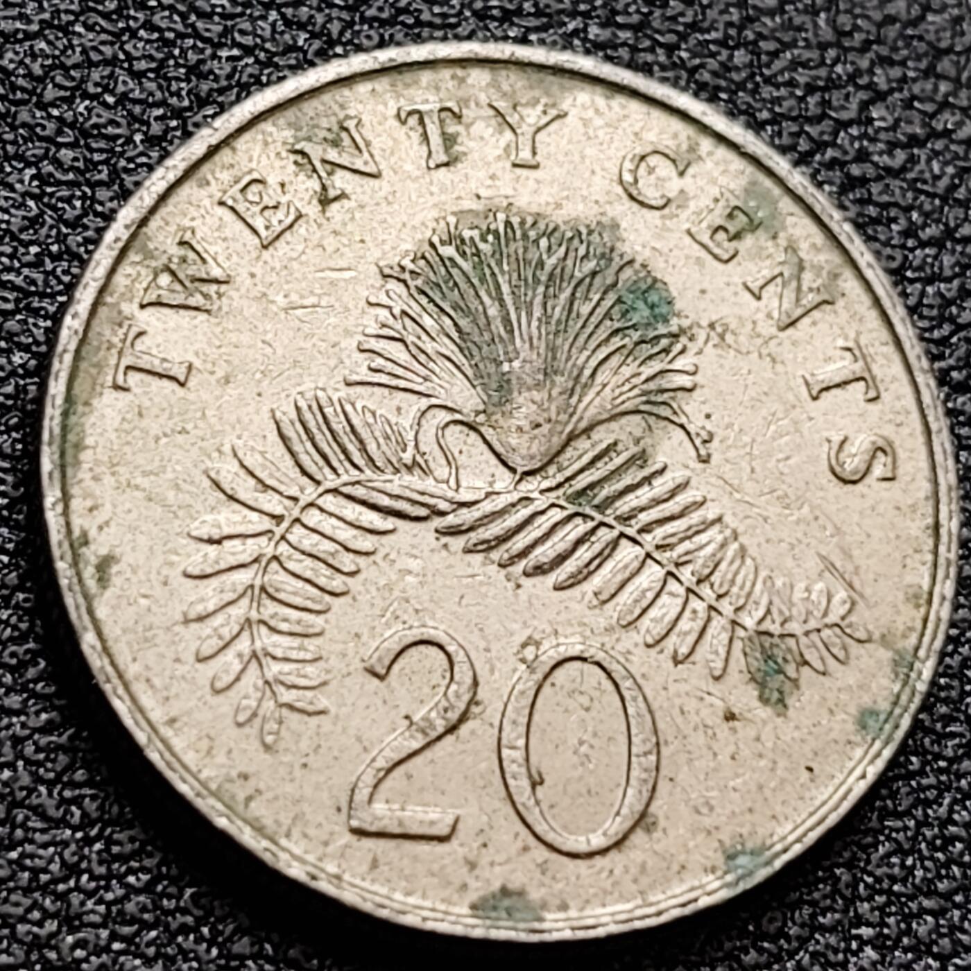 泉币菌-第157场-跨年欢乐场（特修改截拍时间为23:30分）