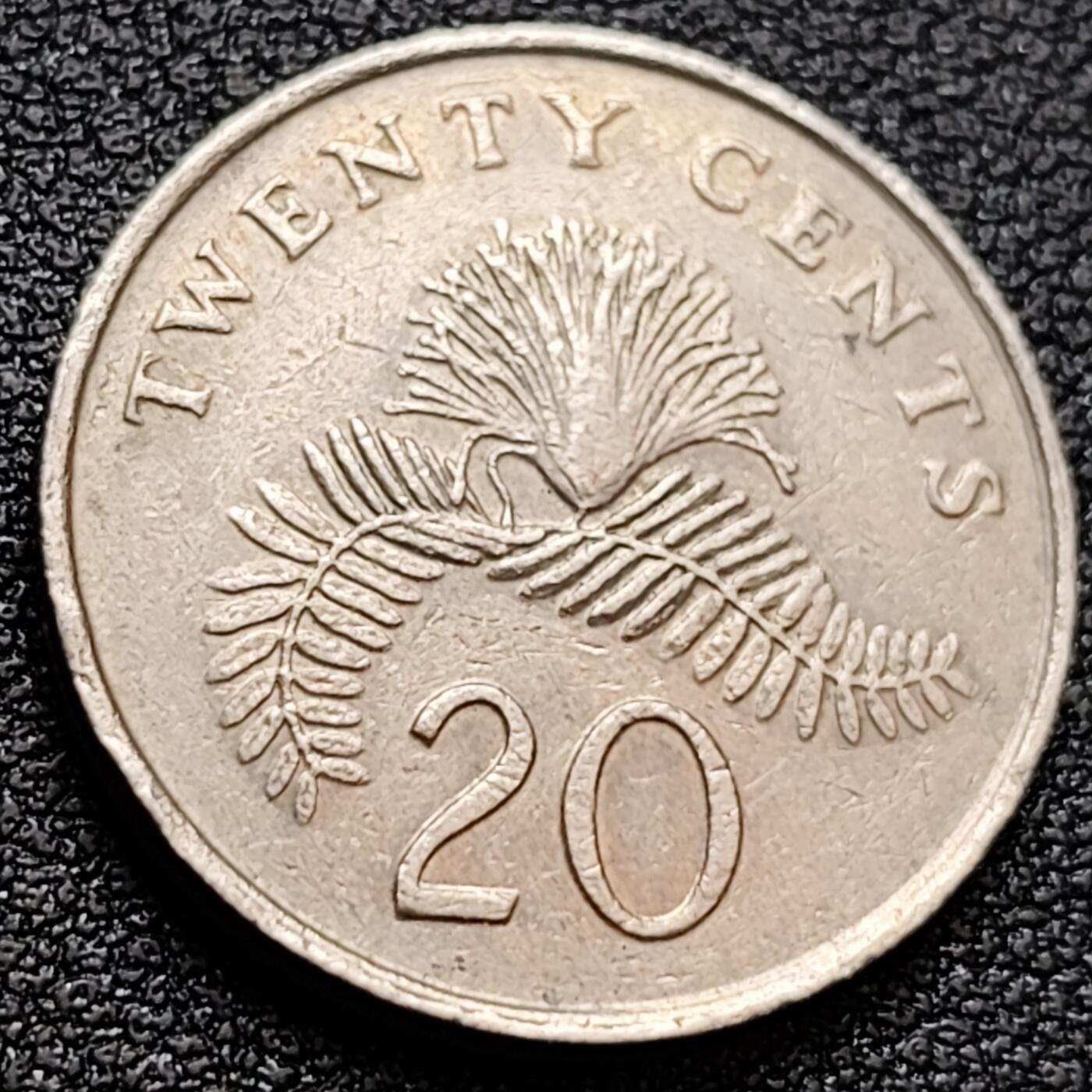 泉币菌-第157场-跨年欢乐场（特修改截拍时间为23:30分）