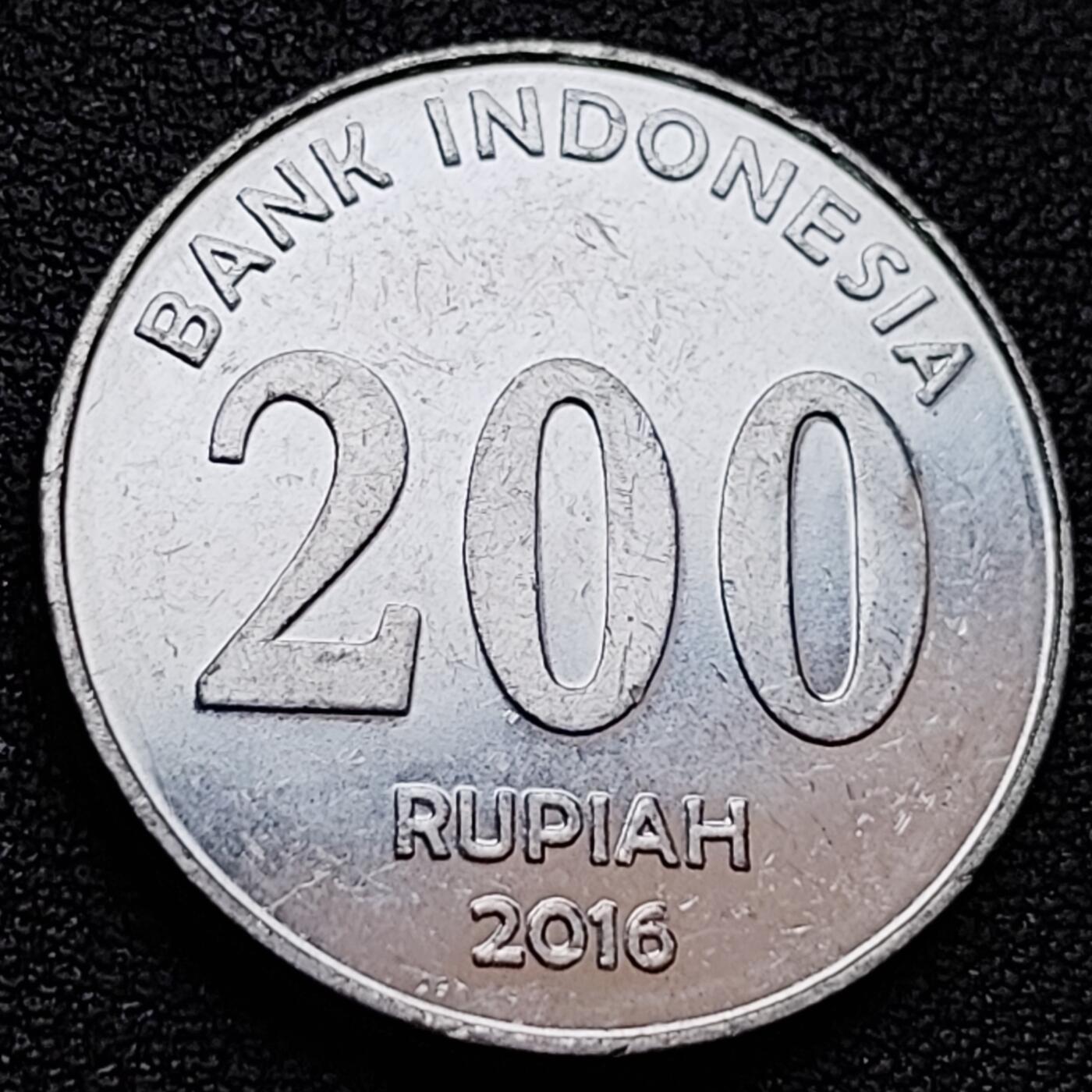 泉币菌-第157场-跨年欢乐场（特修改截拍时间为23:30分）