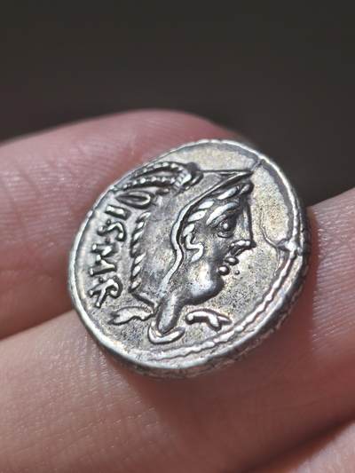 典藏极美品！古罗马共和国 朱诺第纳里银币  L·索里乌斯·巴尔布斯（L. Thorius Balbus），这是经典的一枚朱诺披山羊皮的银币，一般朱诺都长得比较丑，但是这一枚算是比较漂亮的