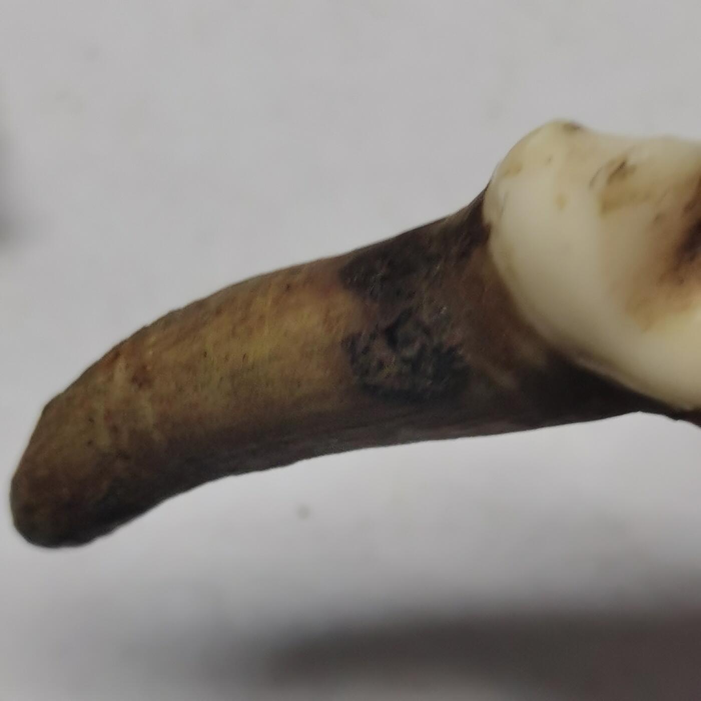 杂件专场92期 各种杂件