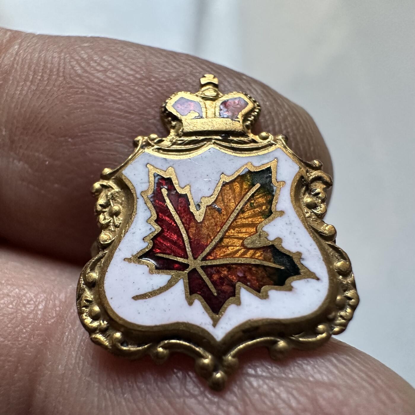 🌹外币初藏🌹🐯2026年第1场  每周二四六晚8️⃣点 接代拍 皇冠枫叶胸针 珐琅工艺