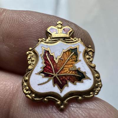 🌹外币初藏🌹🐯2026年第1场  每周二四六晚8️⃣点 接代拍 皇冠枫叶胸针 珐琅工艺