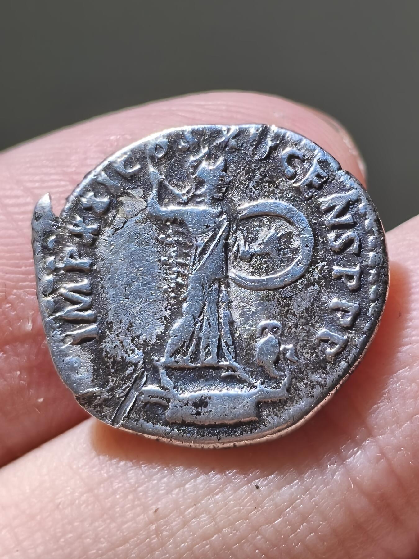 星盘世界钱币2026一月十日新年古典精品大拍 精彩纷呈 罗马帝国 公元81-96年 图密善 第纳尔银币，这一枚非常有趣，带有一个小角，而且图密善的银币大多品相不好，这一枚已经算是比较不错了