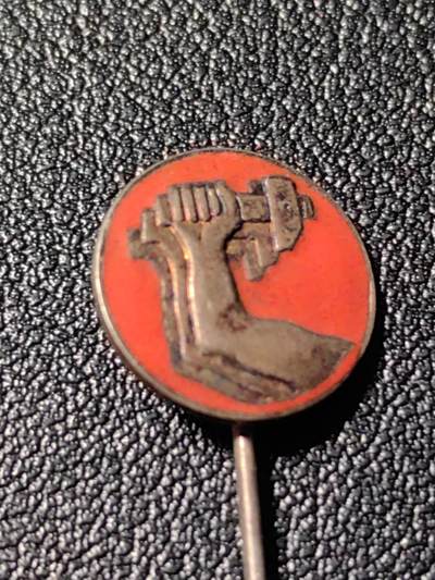 靖甫拍卖新拍第一场 - 不知名西欧国家左翼政党徽章 1