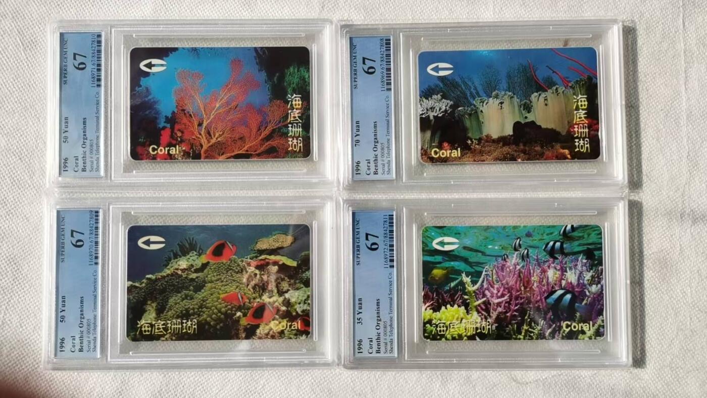 【琪哥网】评级磁卡综合场(120） 【PCGS67】深圳海底珊瑚