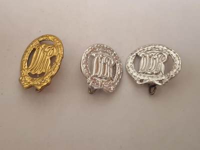 韵星假日拍卖第三十四期 -- Rimey Holidays Auction 34 - 民主德国体育技能证章一组